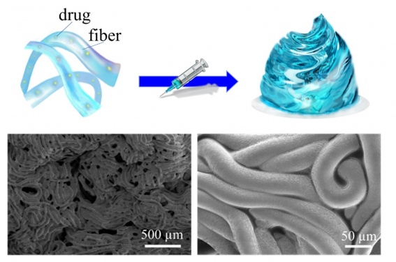Figure 2. The structure of Fibro-gel. The black and white electron microscope images show individual fibres that the form the gel. (Picture is reproduced under the terms of the Creative Commons Attribution License. © 2023 Shen et al. Advanced Materials published by Wiley-VCH GmbH.)
 